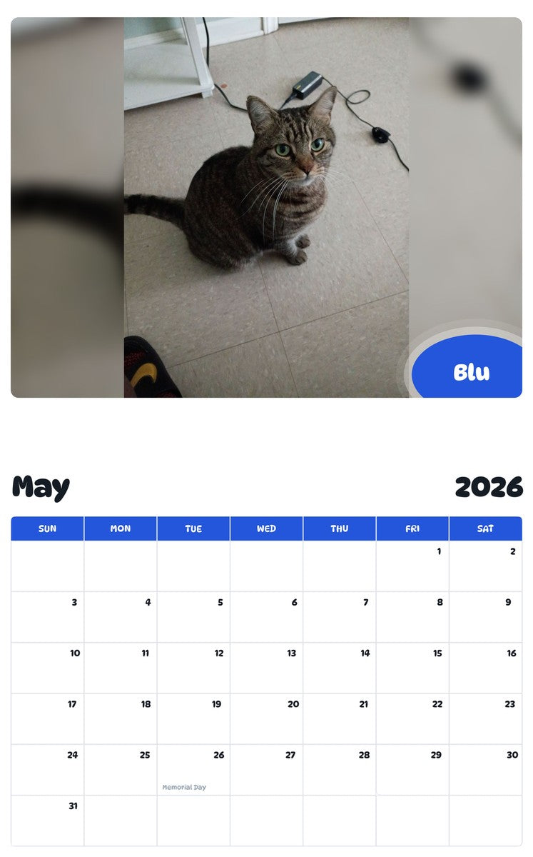2026 - 2027 Blu - Pawidols Pet Calendar
