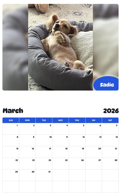 November 2025 - October 2026 Sadie - Pawidols Pet Calendar