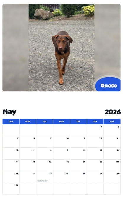 2026 - 2027 Queso - Pawidols Pet Calendar