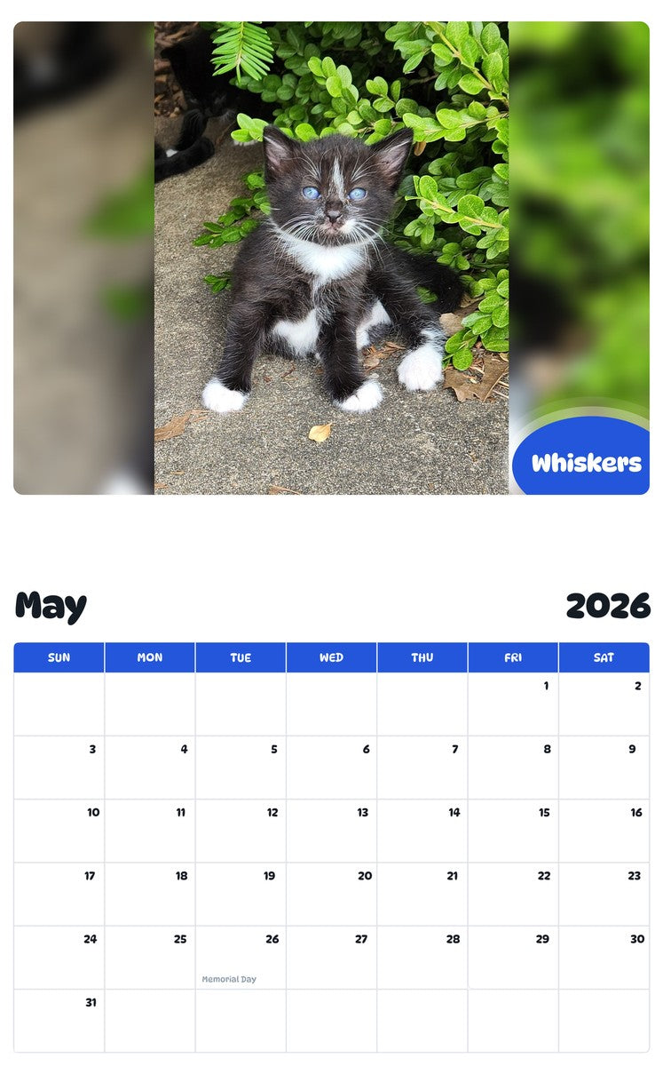 2026 - 2027 Whiskers - Pawidols Pet Calendar