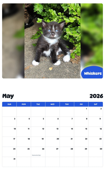 2026 - 2027 Whiskers - Pawidols Pet Calendar