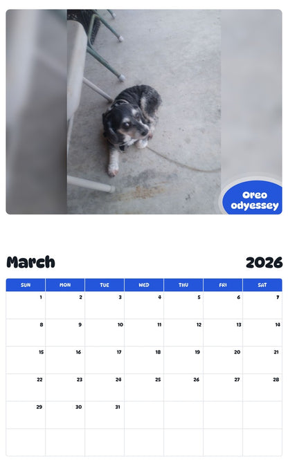 November 2025 - October 2026 Oreo odyessey - Pawidols Pet Calendar