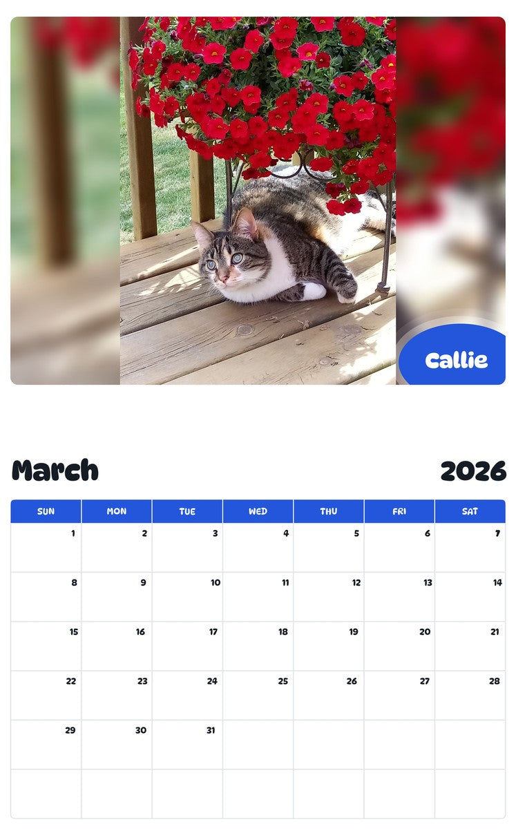 November 2025 - October 2026 Callie - Pawidols Pet Calendar