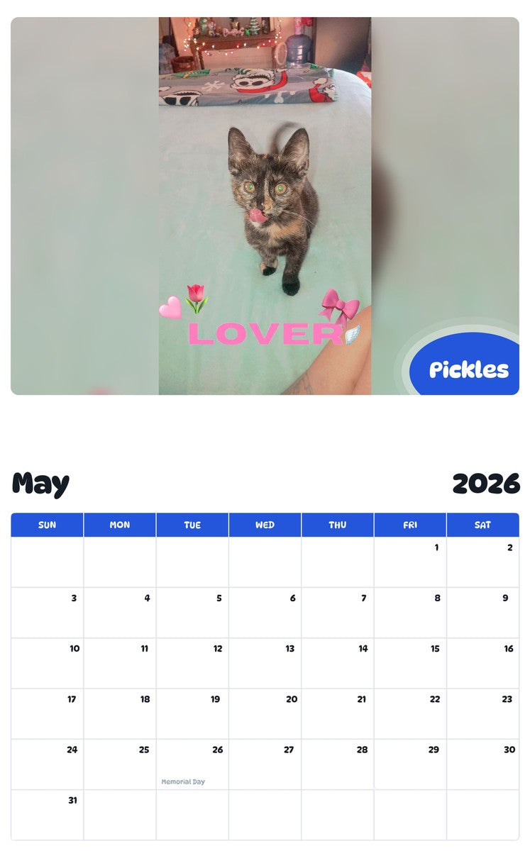 2026 - 2027 Pickles - Pawidols Pet Calendar