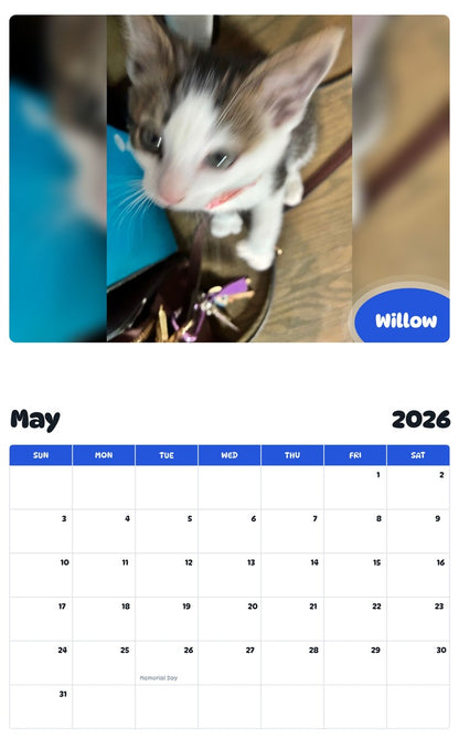 2026 - 2027 Willow - Pawidols Pet Calendar