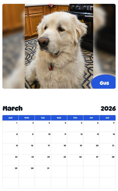 November 2025 - October 2026 Gus - Pawidols Pet Calendar