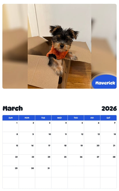 November 2025 - October 2026 Maverick - Pawidols Pet Calendar