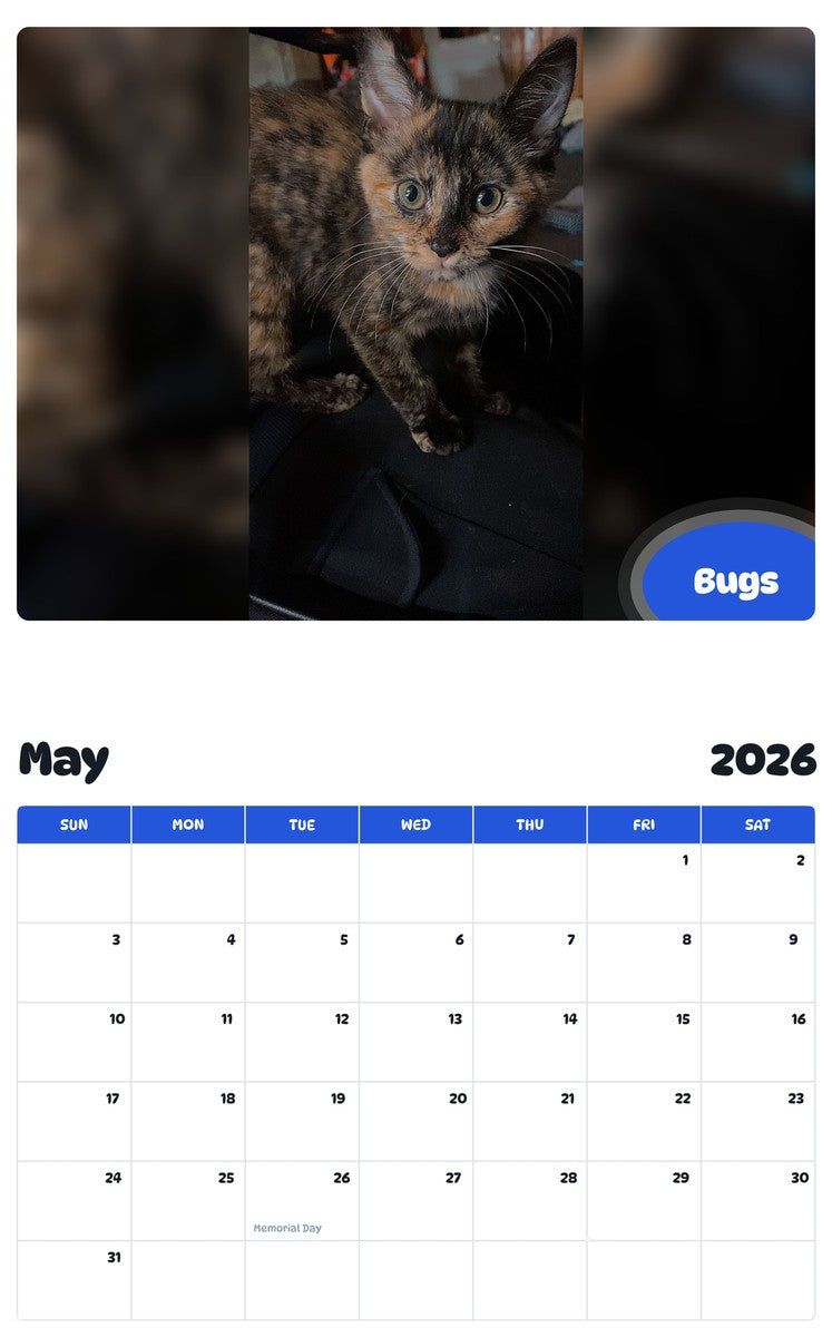 2026 - 2027 Bugs - Pawidols Pet Calendar
