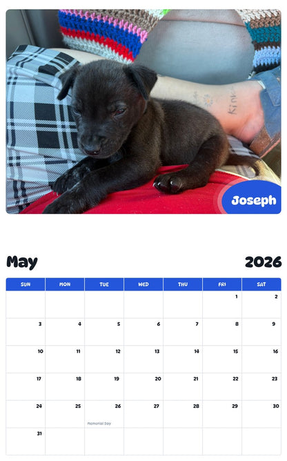 2026 - 2027 Joseph - Pawidols Pet Calendar