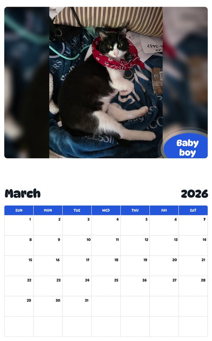 November 2025 - October 2026 Baby boy - Pawidols Pet Calendar