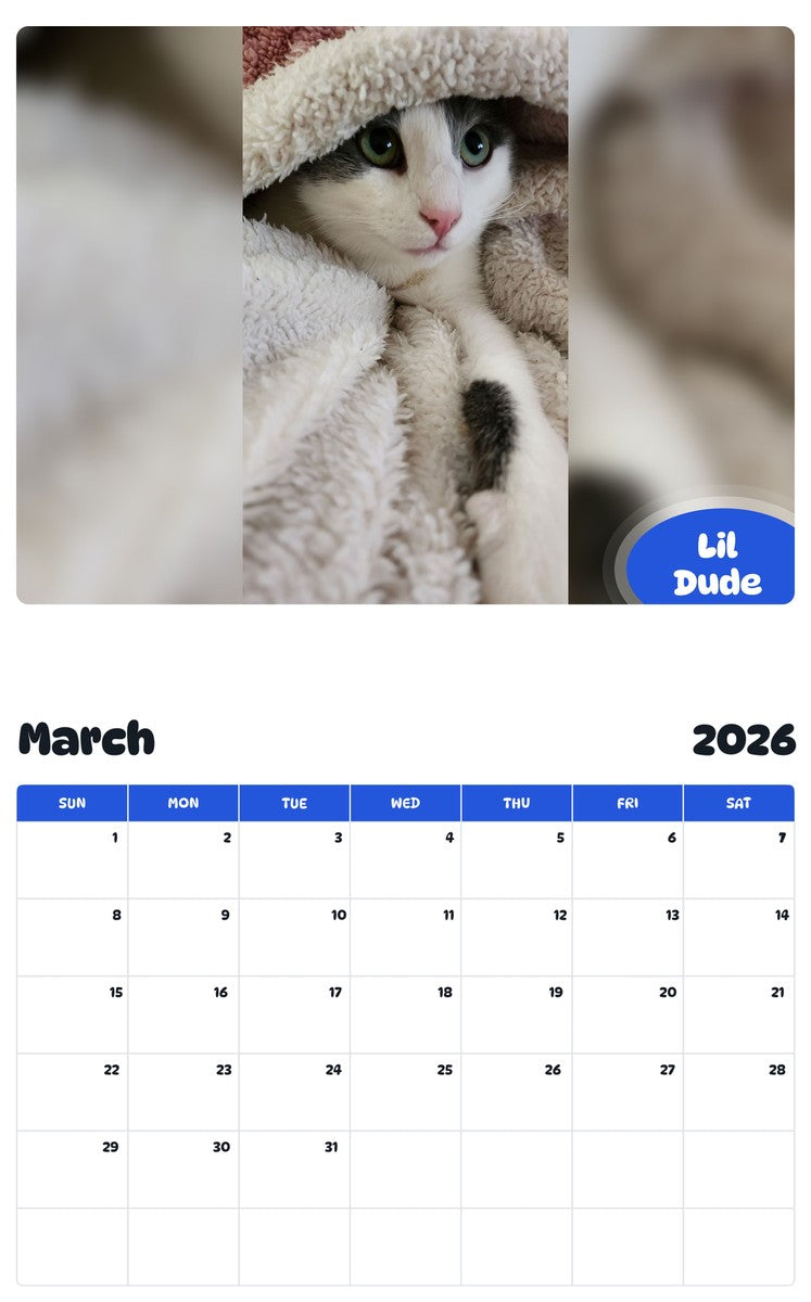 November 2025 - October 2026 Lil Dude - Pawidols Pet Calendar