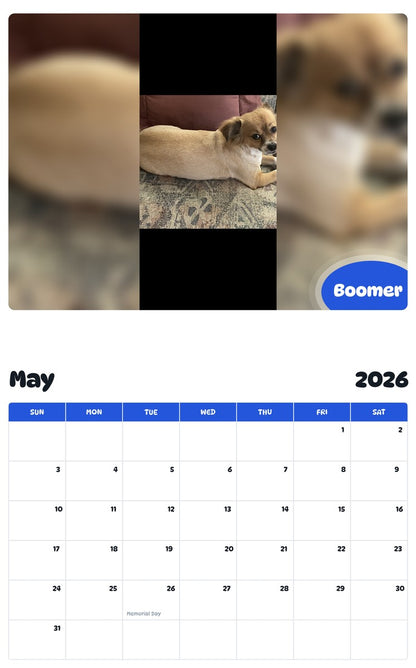 2026 - 2027 Boomer - Pawidols Pet Calendar