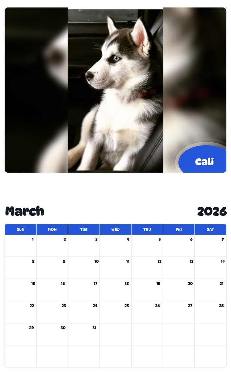 November 2025 - October 2026 Cali - Pawidols Pet Calendar