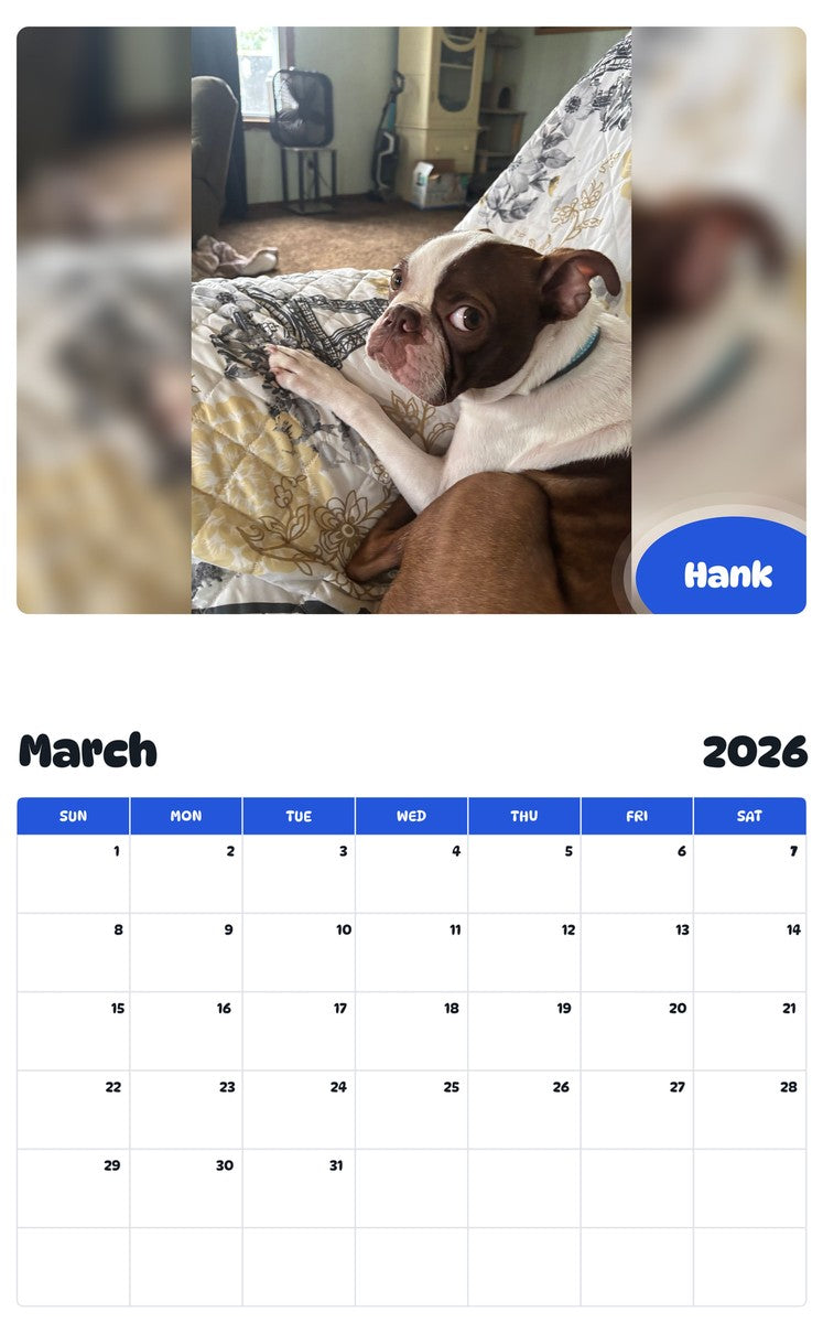 November 2025 - October 2026 Hank - Pawidols Pet Calendar