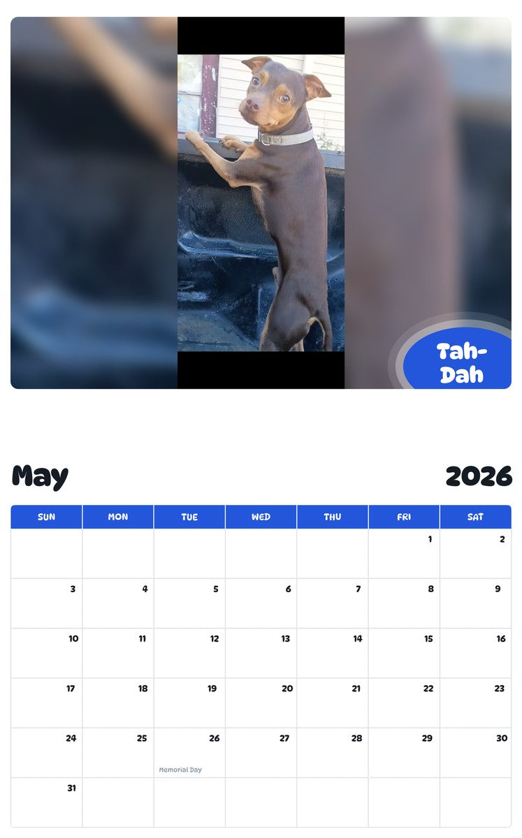2026 - 2027 Tah-Dah - Pawidols Pet Calendar
