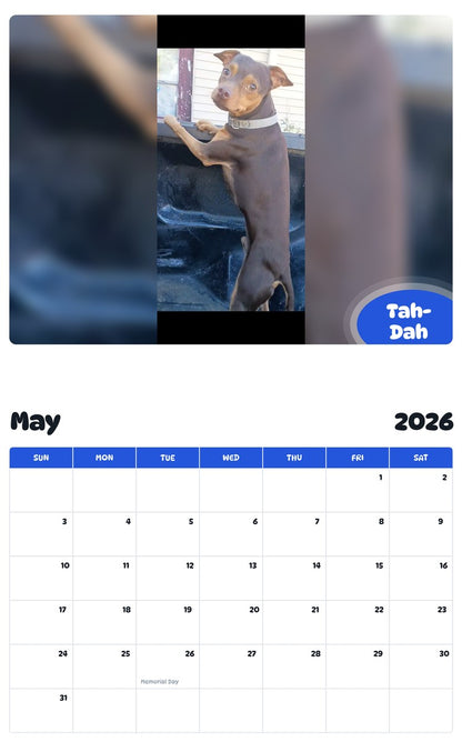 2026 - 2027 Tah-Dah - Pawidols Pet Calendar