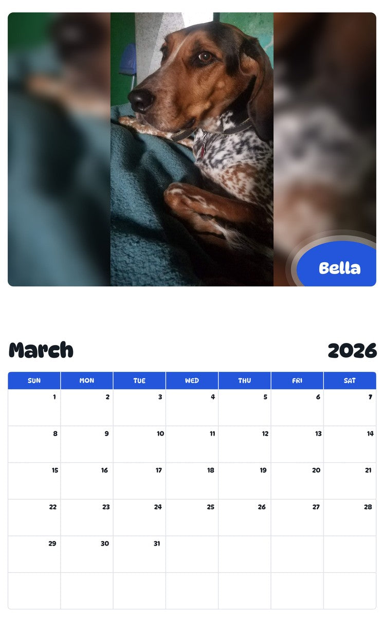 November 2025 - October 2026 Bella - Pawidols Pet Calendar