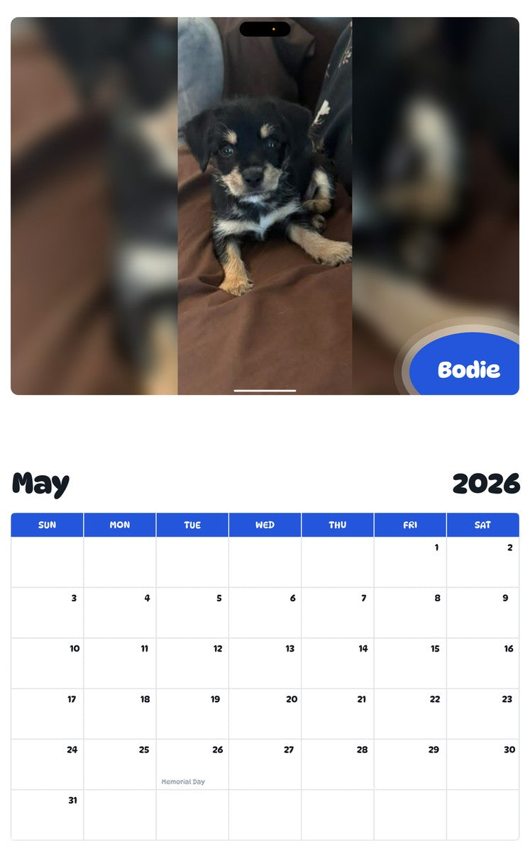 2026 - 2027 Bodie - Pawidols Pet Calendar