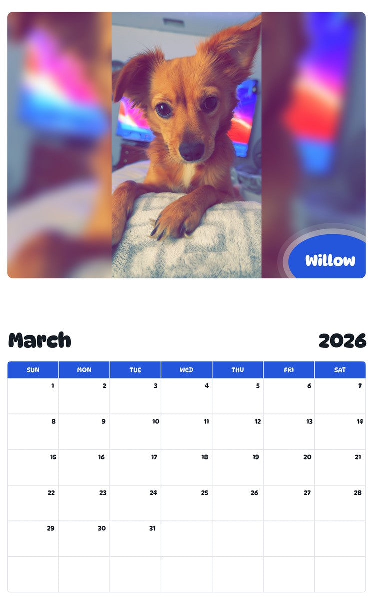 November 2025 - October 2026 Willow - Pawidols Pet Calendar