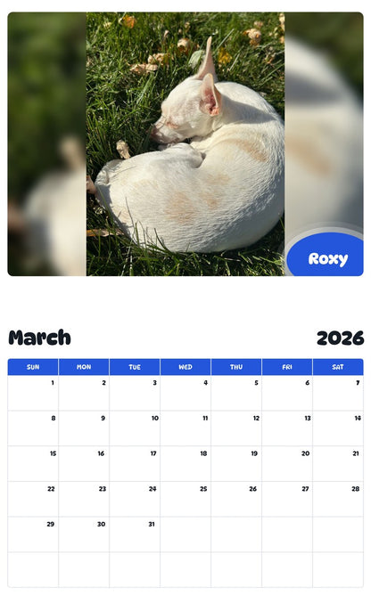 November 2025 - October 2026 Roxy - Pawidols Pet Calendar