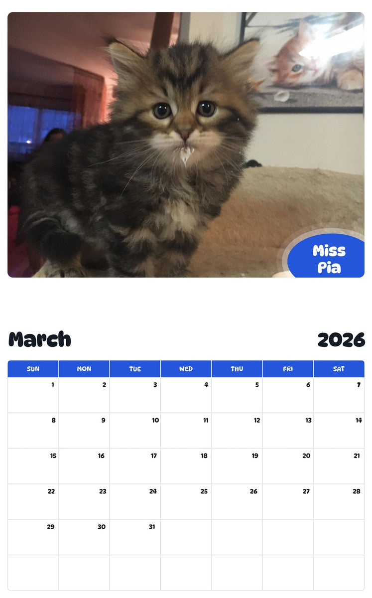 November 2025 - October 2026 Miss Pia - Pawidols Pet Calendar