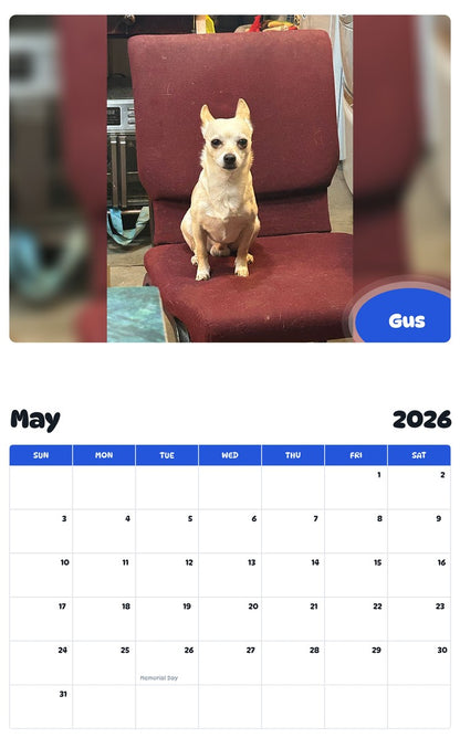 2026 - 2027 Gus - Pawidols Pet Calendar