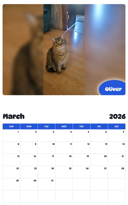 November 2025 - October 2026 Oliver - Pawidols Pet Calendar