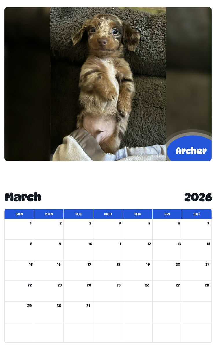 November 2025 - October 2026 Archer - Pawidols Pet Calendar
