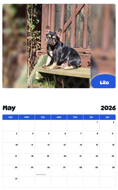 2026 - 2027 Lilo - Pawidols Pet Calendar