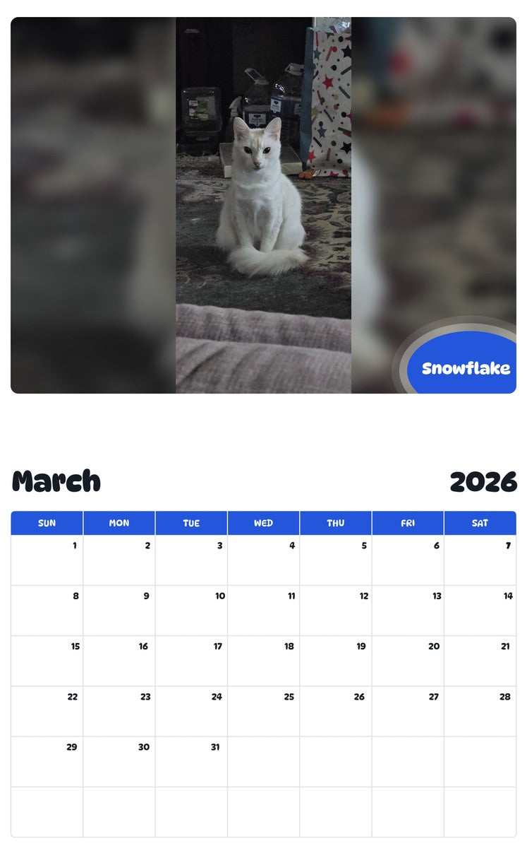 November 2025 - October 2026 Snowflake - Pawidols Pet Calendar