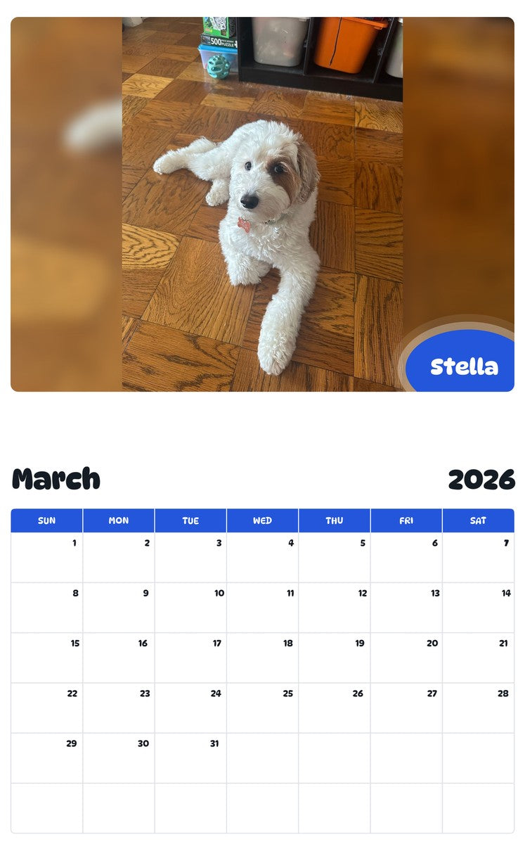 November 2025 - October 2026 Stella - Pawidols Pet Calendar