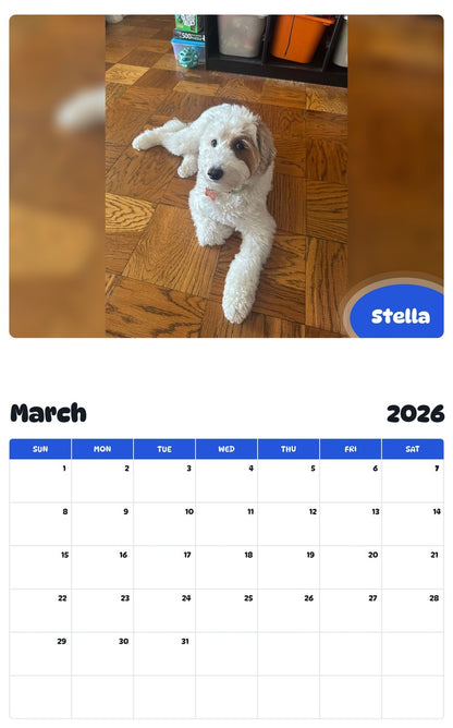 November 2025 - October 2026 Stella - Pawidols Pet Calendar