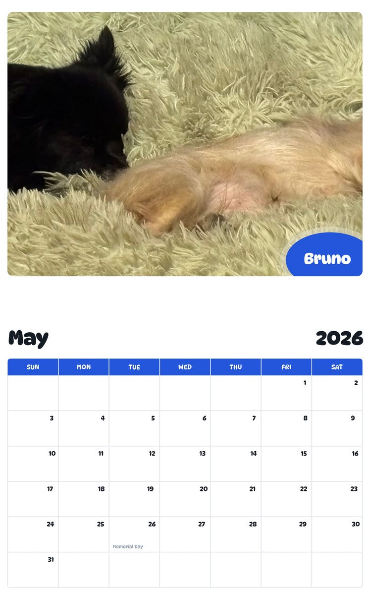 2026 - 2027 Bruno - Pawidols Pet Calendar