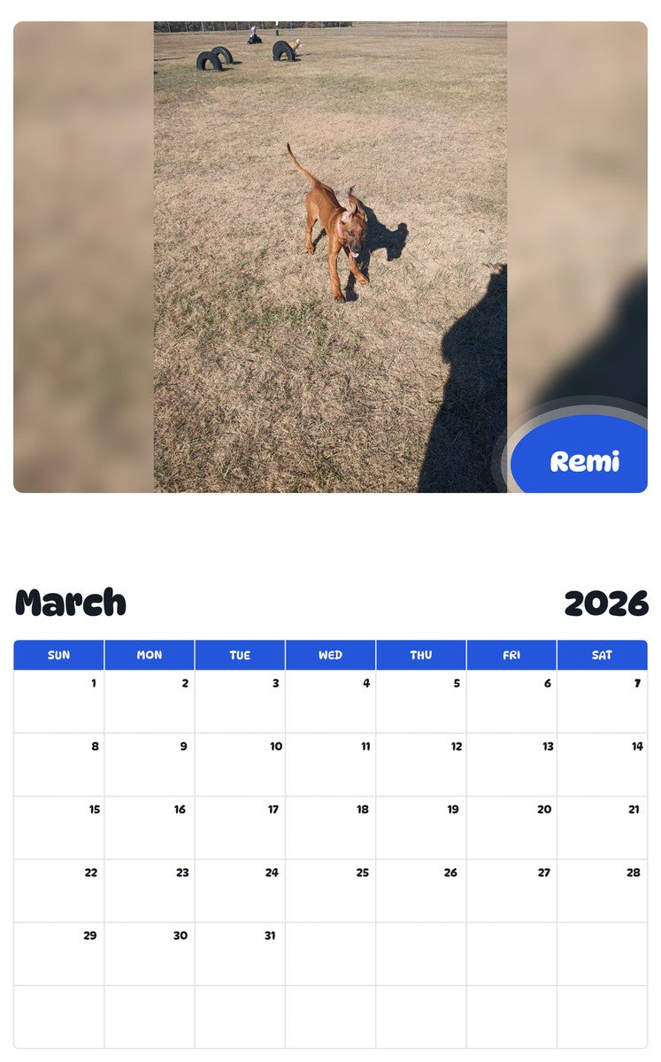 November 2025 - October 2026 Remi - Pawidols Pet Calendar