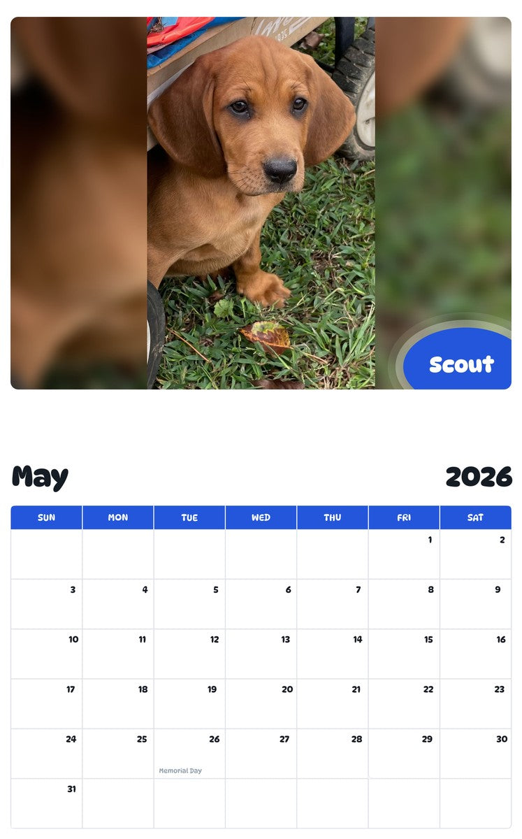 2026 - 2027 Scout - Pawidols Pet Calendar