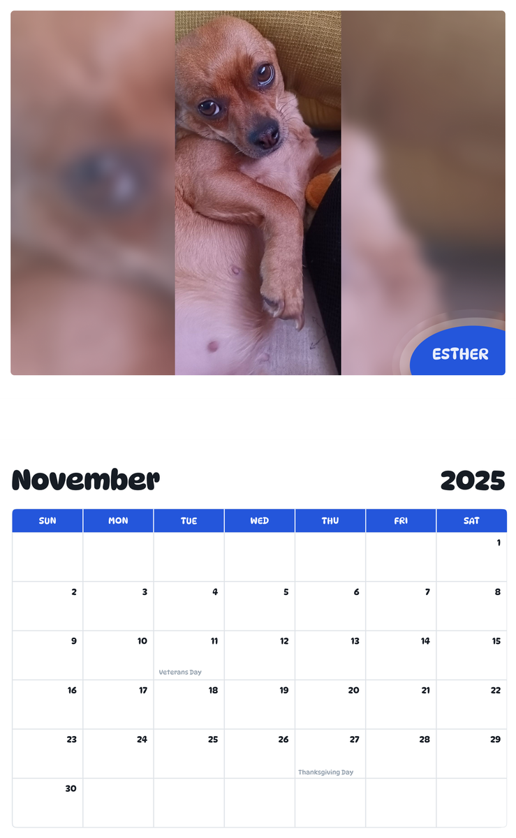 July 2025 - June 2026 Esther - Pawidols Pet Calendar