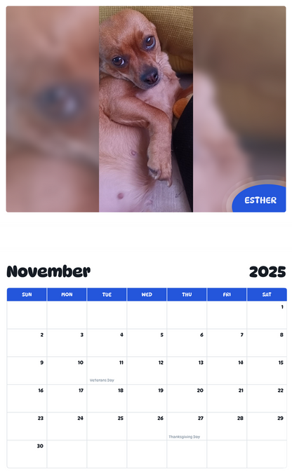 July 2025 - June 2026 Esther - Pawidols Pet Calendar