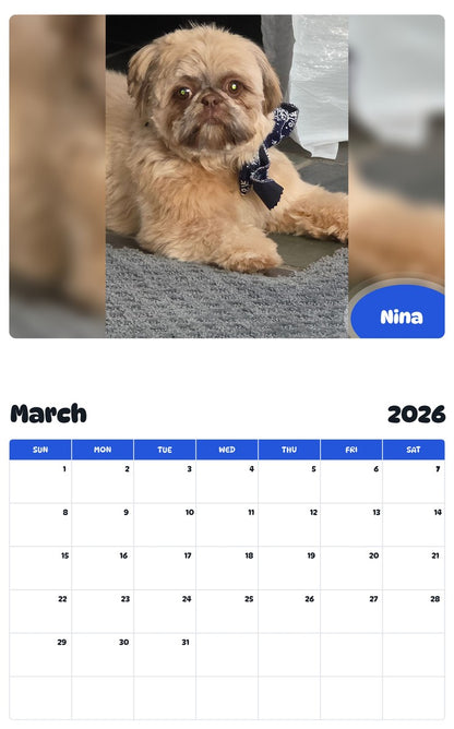 November 2025 - October 2026 Nina - Pawidols Pet Calendar
