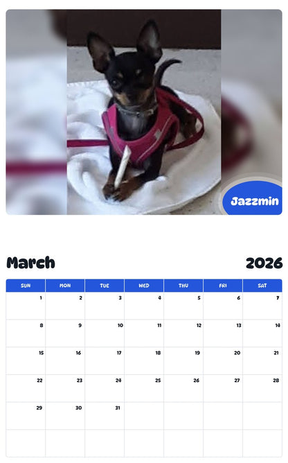 November 2025 - October 2026 Jazzmin - Pawidols Pet Calendar