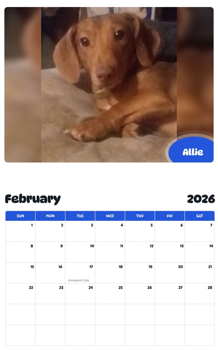 November 2025 - October 2026 Allie - Pawidols Pet Calendar