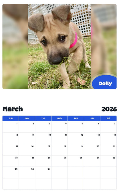 November 2025 - October 2026 Dolly - Pawidols Pet Calendar