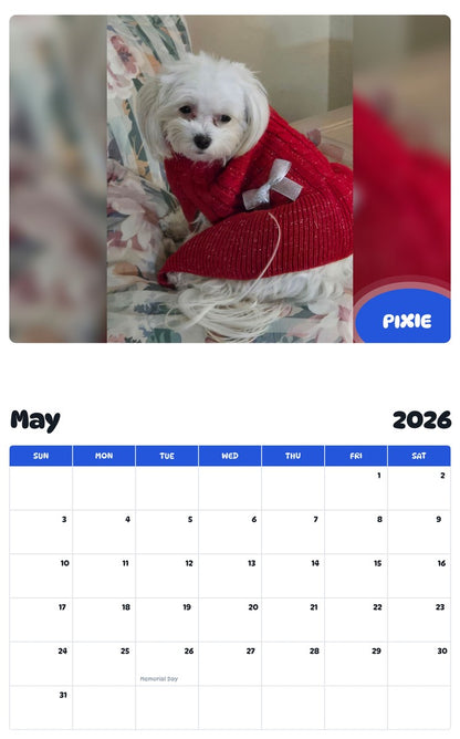 2026 - 2027 PIXIE - Pawidols Pet Calendar