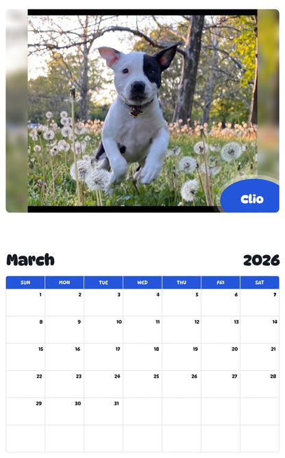 November 2025 - October 2026 Clio - Pawidols Pet Calendar
