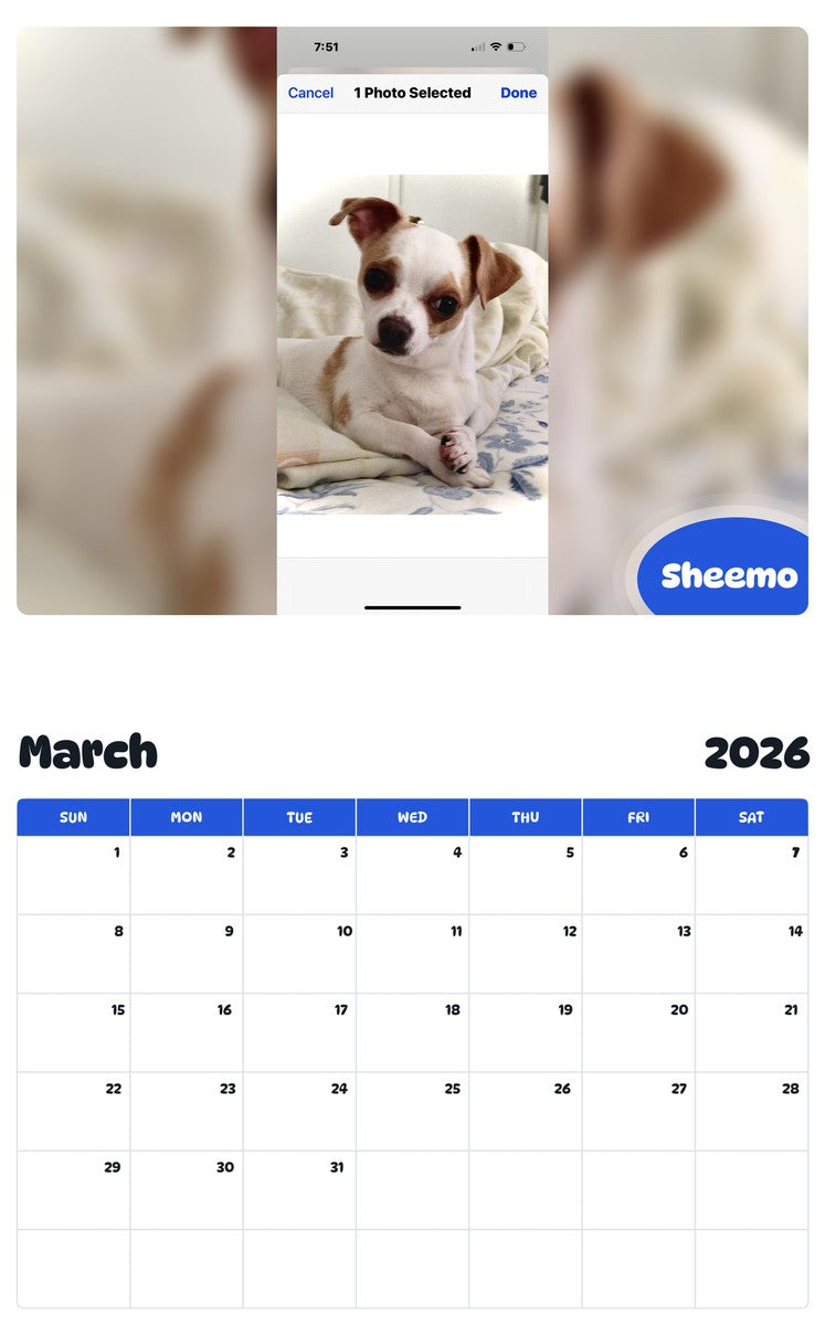 November 2025 - October 2026 Sheemo - Pawidols Pet Calendar