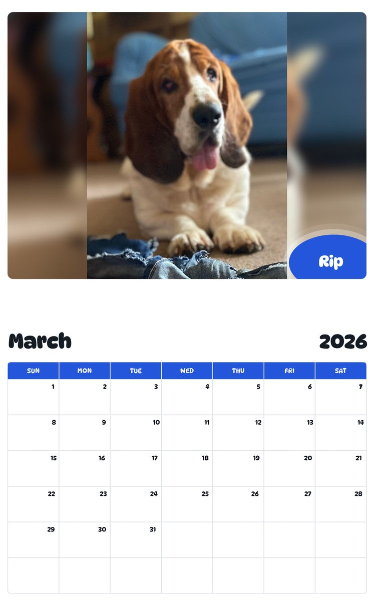 November 2025 - October 2026 Rip - Pawidols Pet Calendar
