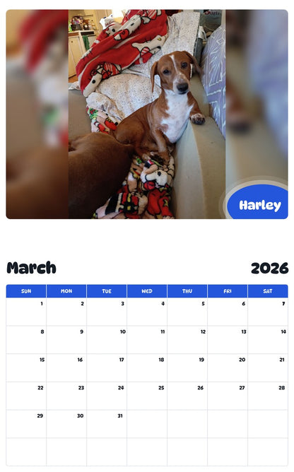 November 2025 - October 2026 Harley - Pawidols Pet Calendar