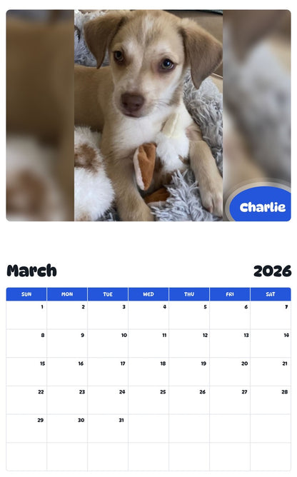 November 2025 - October 2026 Charlie - Pawidols Pet Calendar