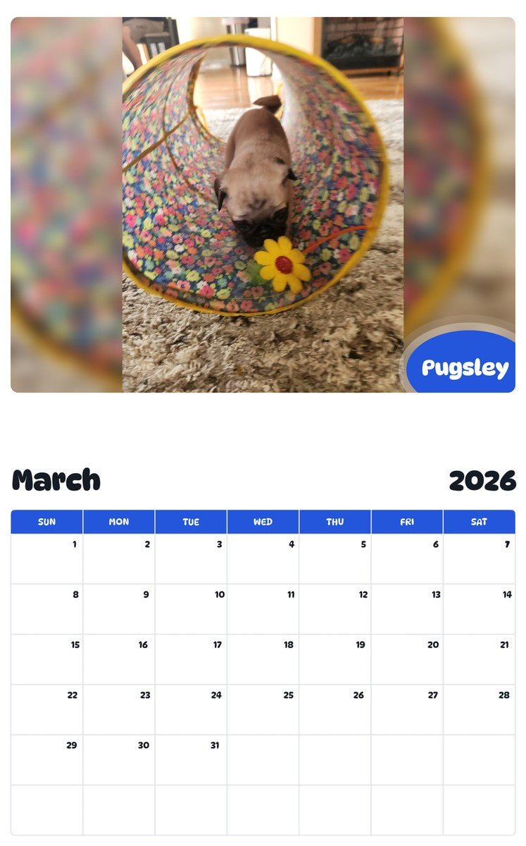 November 2025 - October 2026 Pugsley - Pawidols Pet Calendar