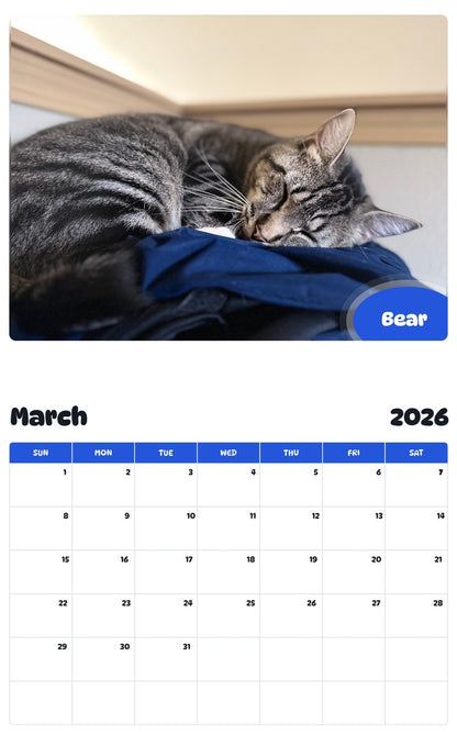 November 2025 - October 2026 Bear - Pawidols Pet Calendar