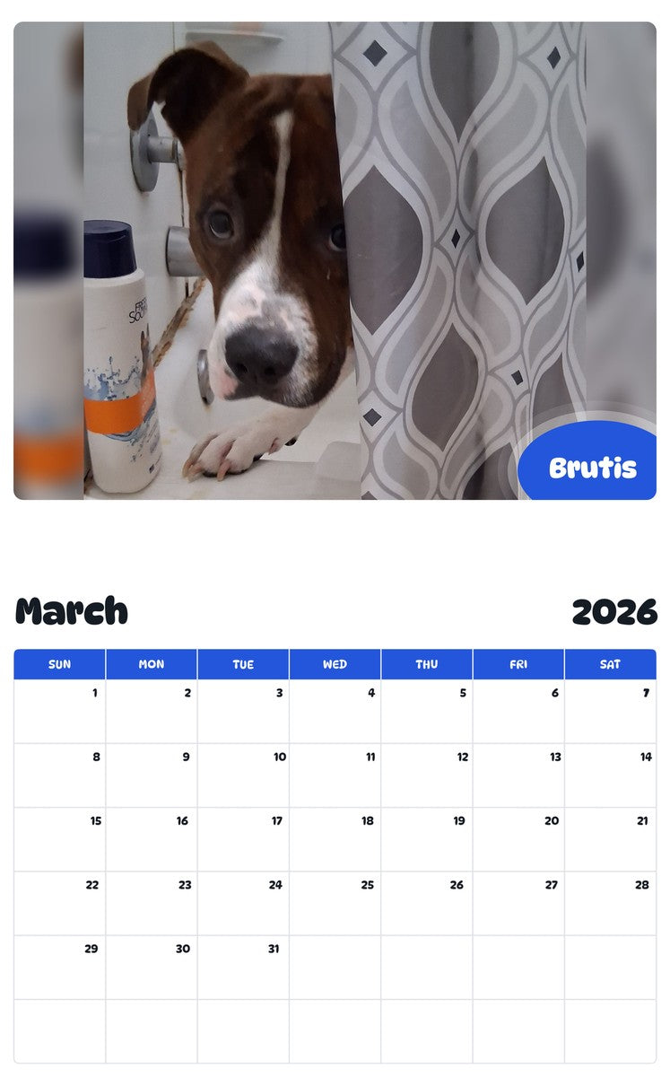 November 2025 - October 2026 Brutis - Pawidols Pet Calendar